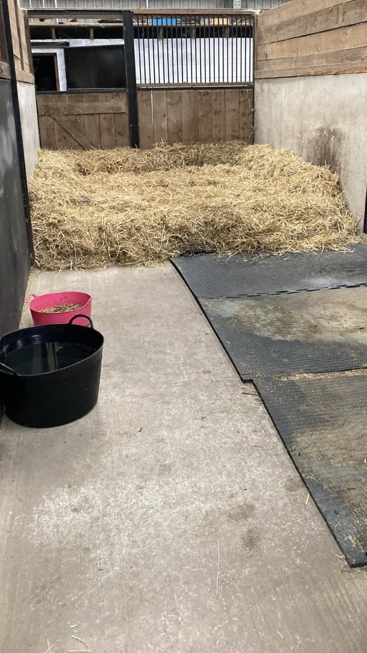 Overnight Stable Hire